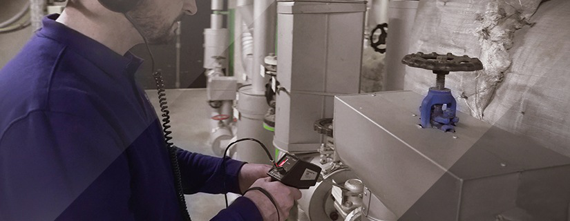 ultrasonic Ultraprobe 100